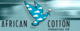 African Cotton Industries Ltd.