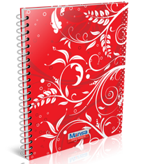 Mansa Print & Publishers Ltd. 