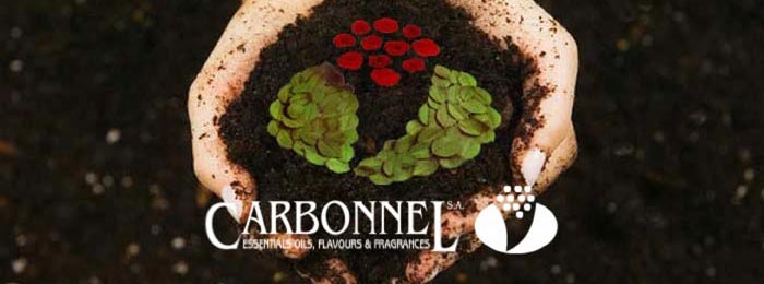 Carbonnel S.A.
