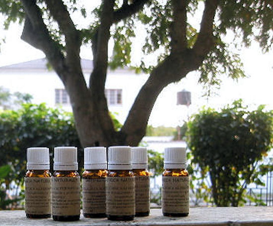 Premium African Essential Oils & Botanical Extracts