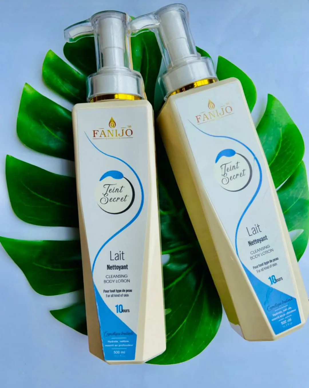 Fanijo