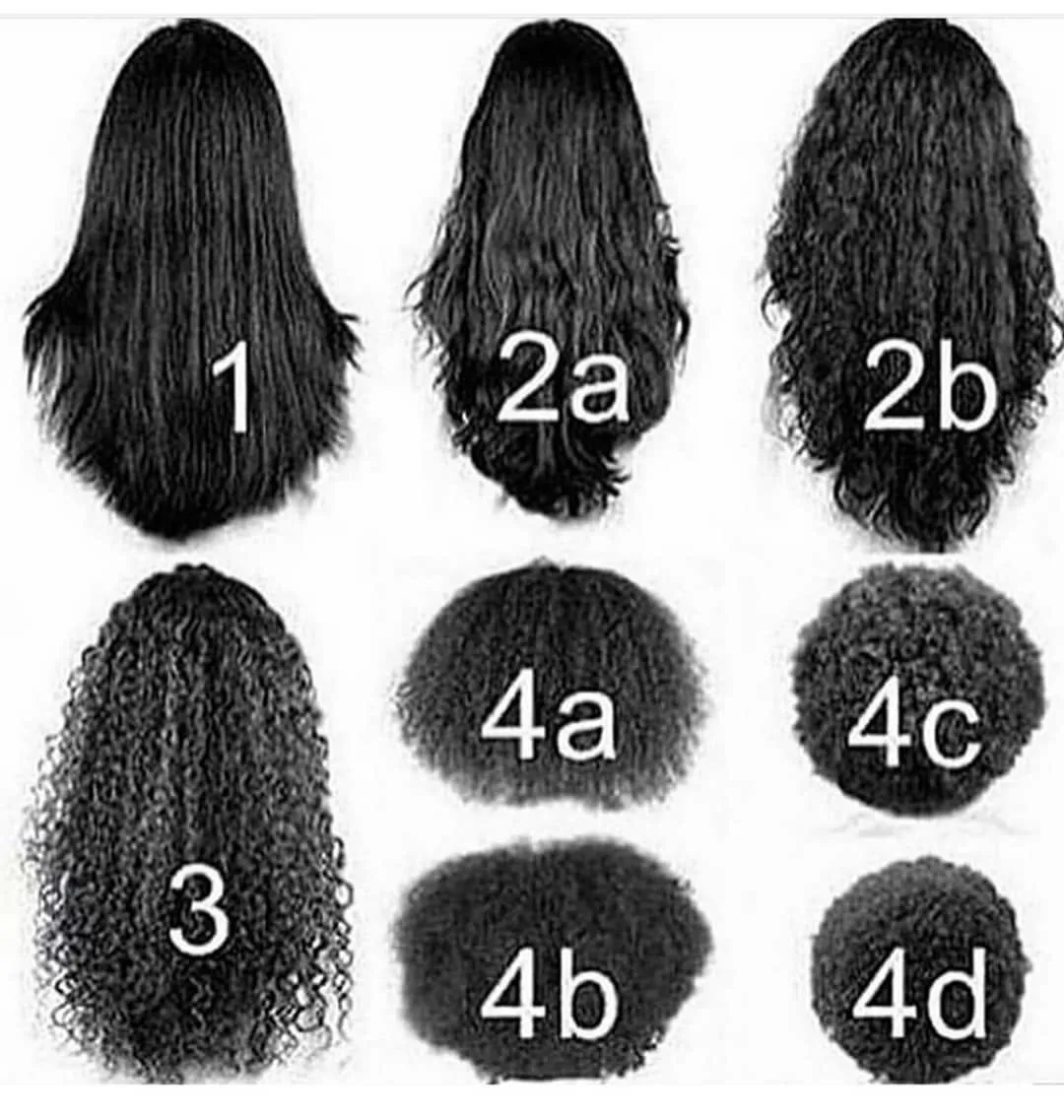 Salonmyculture