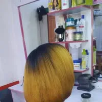 Elva Salon